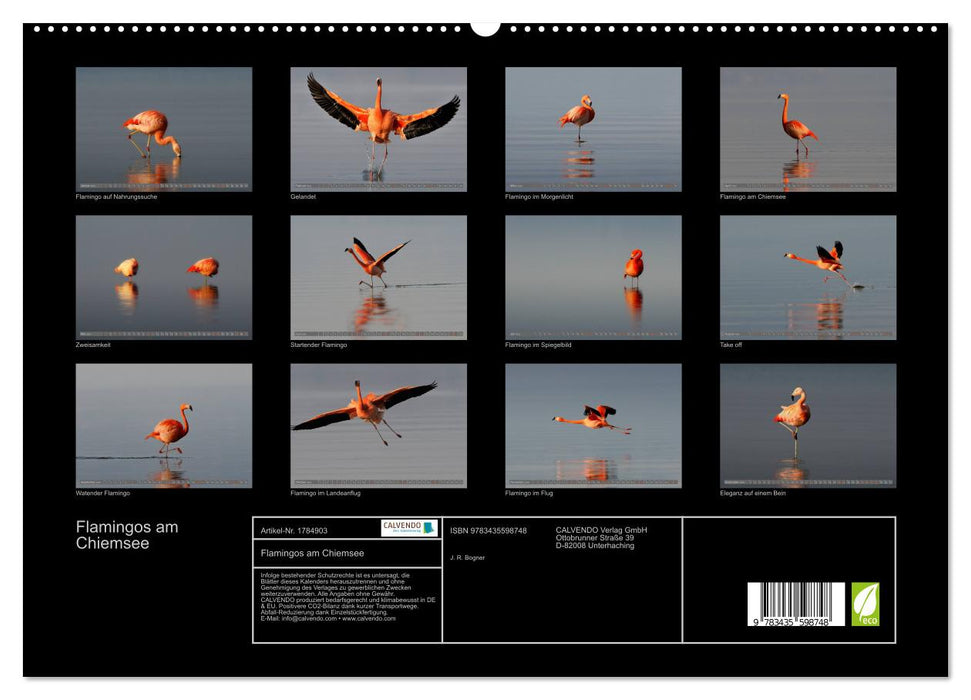 Flamingos am Chiemsee (CALVENDO Premium Wandkalender 2025)