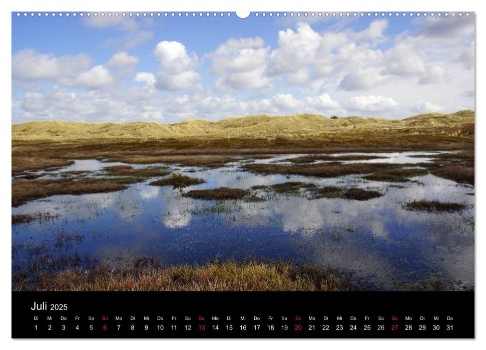 Dänemark - Umgebung von Hvide Sande (CALVENDO Premium Wandkalender 2025)