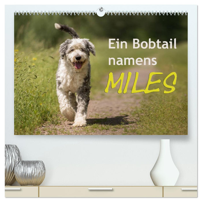 Ein Bobtail namens Miles (CALVENDO Premium Wandkalender 2025)