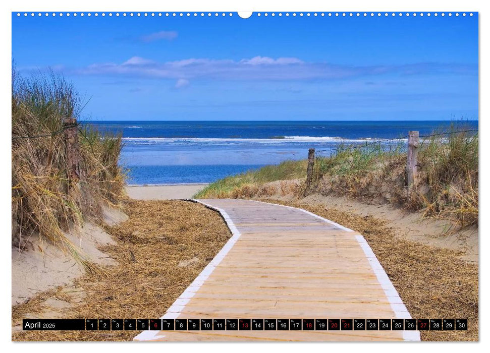 Langeoog - Schönste Insel Ostfrieslands (CALVENDO Premium Wandkalender 2025)