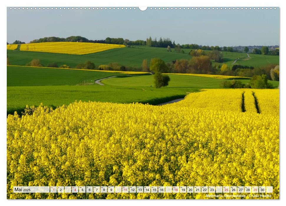 Neanderland 2025 - Impressionen aus dem Kreis Mettmann (CALVENDO Premium Wandkalender 2025)