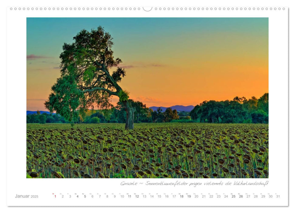 Sehnsucht Toskana - Land der sanften Hügel (CALVENDO Premium Wandkalender 2025)