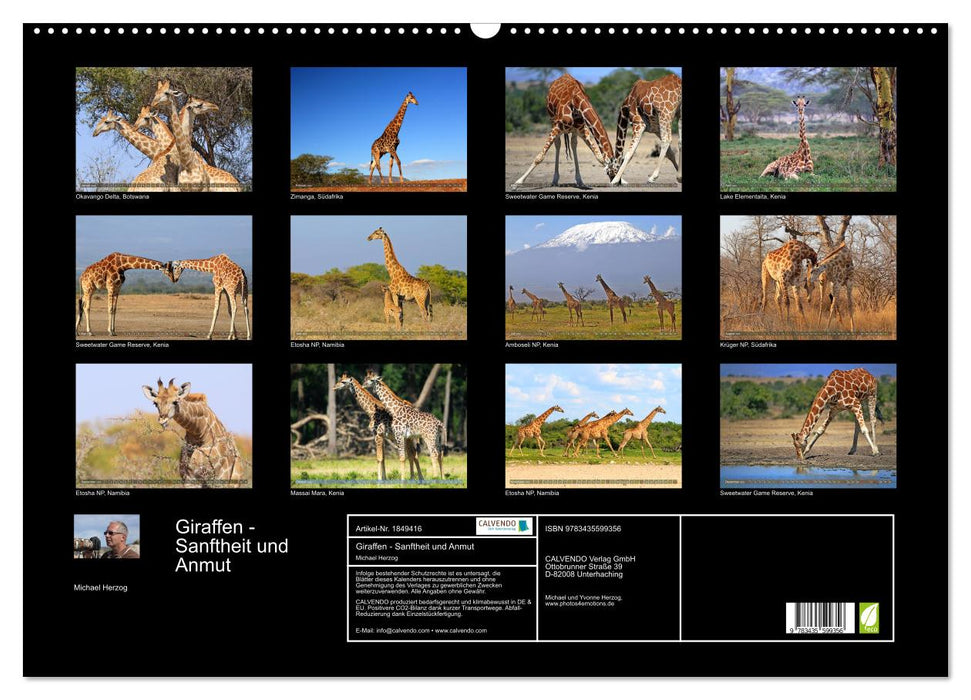 Giraffen - Sanftheit und Anmut (CALVENDO Wandkalender 2025)