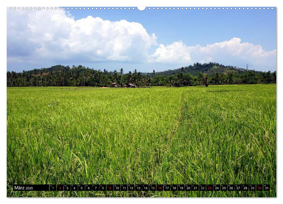 Kontrastreiche Philippinen (CALVENDO Wandkalender 2025)