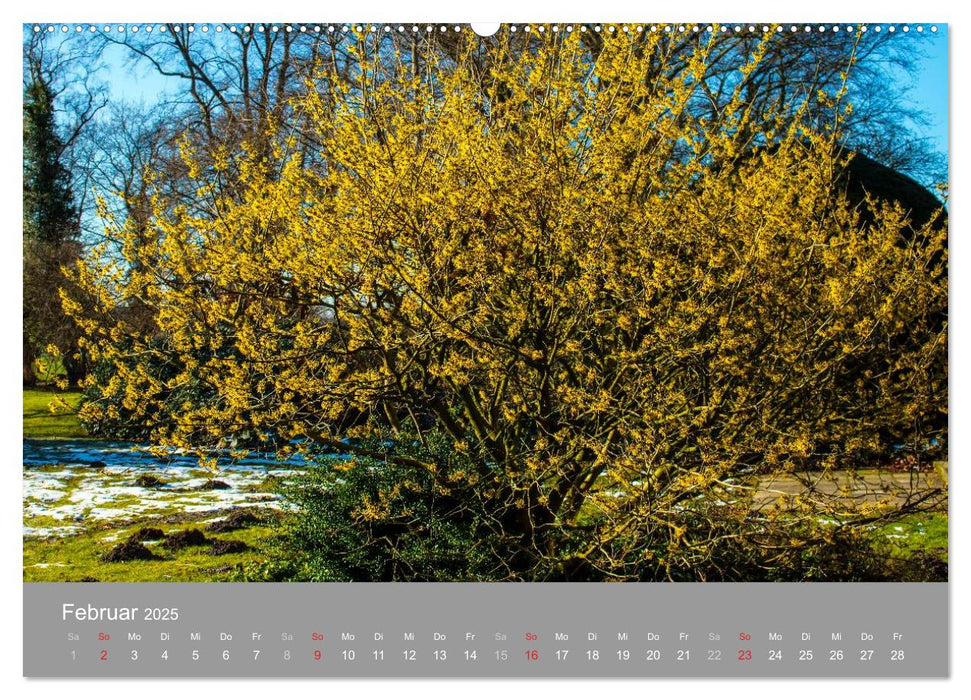 Romantische Garten-Paradiese (CALVENDO Premium Wandkalender 2025)