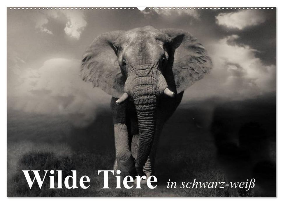 Wilde Tiere in schwarz-weiß (CALVENDO Wandkalender 2025)