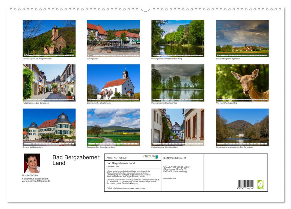 Bad Bergzaberner Land (CALVENDO Wandkalender 2025)