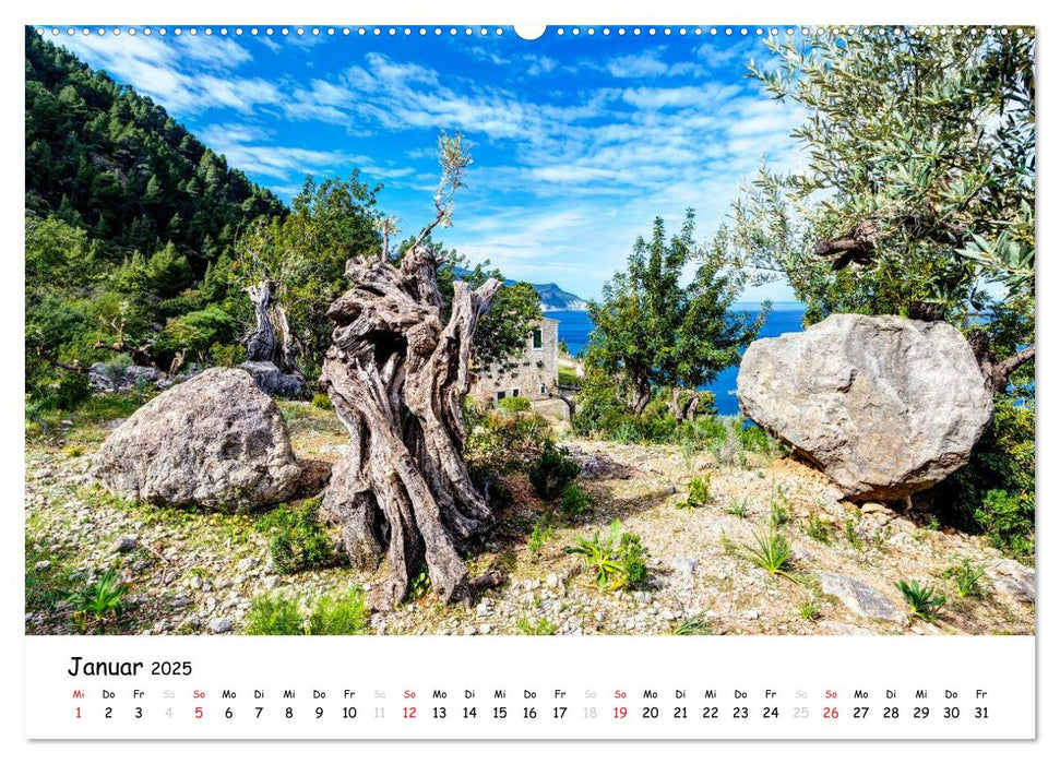 Wildes und romantisches Mallorca (CALVENDO Premium Wandkalender 2025)