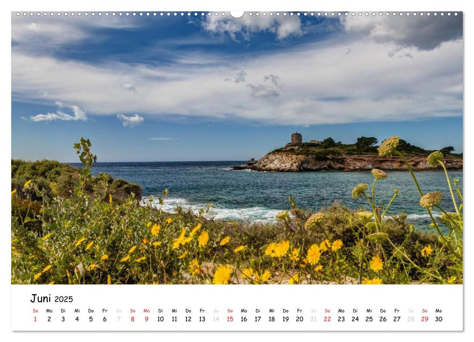 Wildes und romantisches Mallorca (CALVENDO Premium Wandkalender 2025)