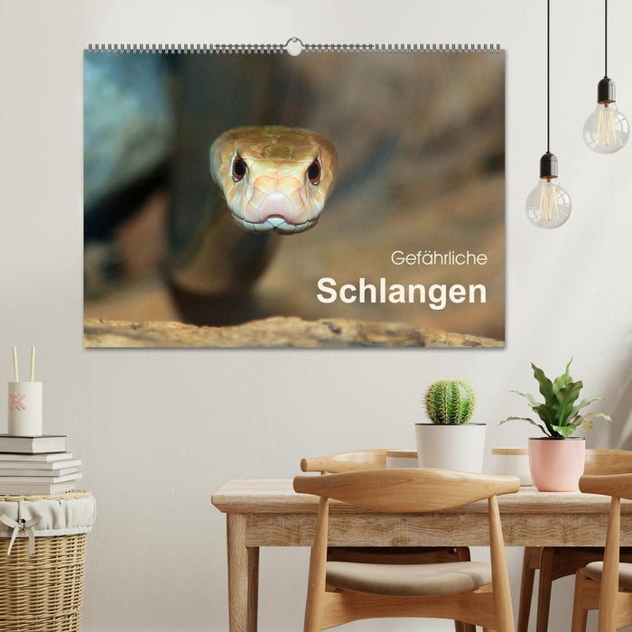 Gefährliche Schlangen (CALVENDO Wandkalender 2025)