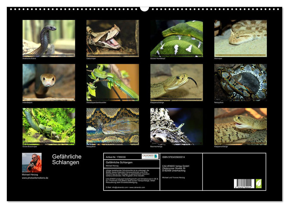 Gefährliche Schlangen (CALVENDO Wandkalender 2025)