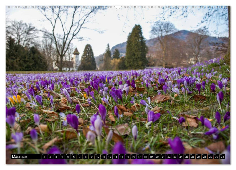 Rund um den Thunersee (CALVENDO Premium Wandkalender 2025)