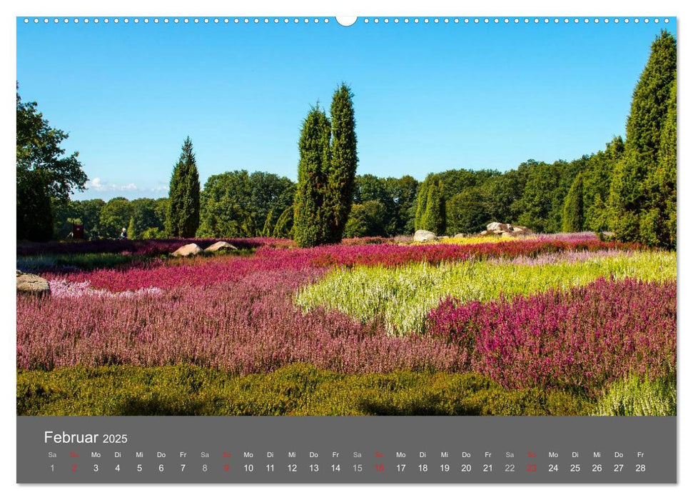 Moor- und Heidelandschaften Niedersachsen (CALVENDO Premium Wandkalender 2025)