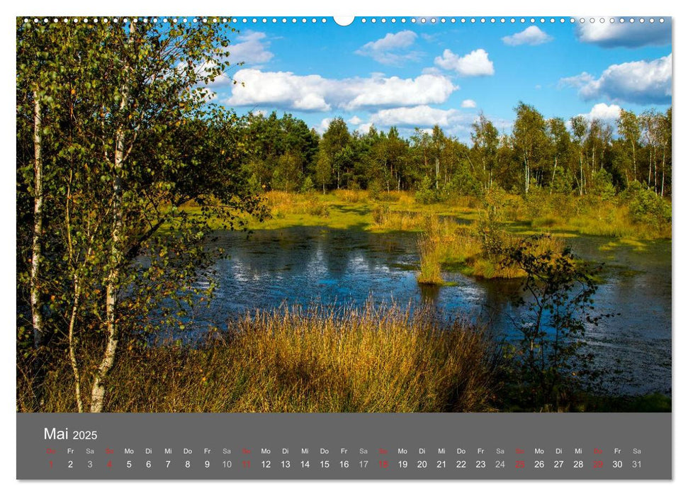 Moor- und Heidelandschaften Niedersachsen (CALVENDO Premium Wandkalender 2025)