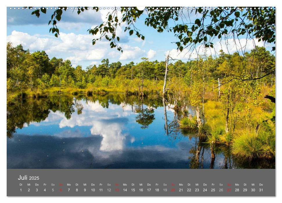 Moor- und Heidelandschaften Niedersachsen (CALVENDO Premium Wandkalender 2025)