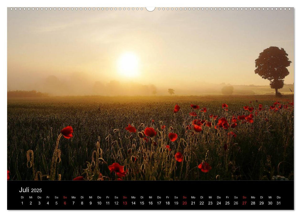 Wilde Blüten-Träume (CALVENDO Premium Wandkalender 2025)