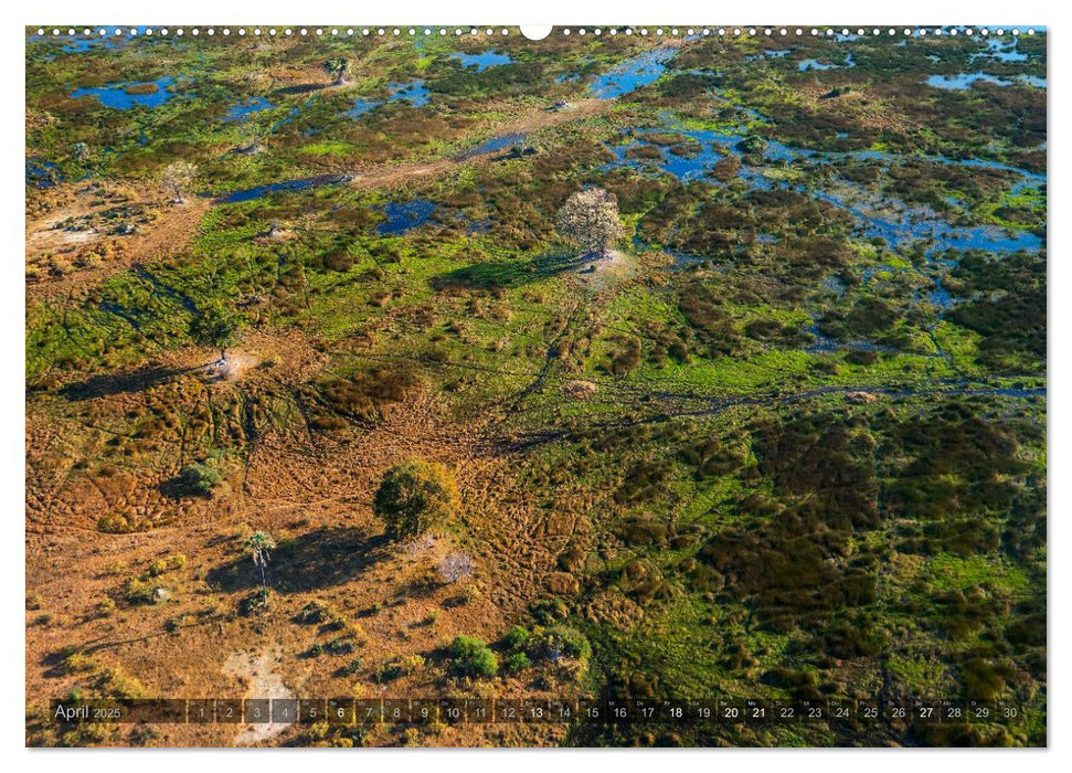 Botswana – Landschaft und Tierwelt (CALVENDO Premium Wandkalender 2025)