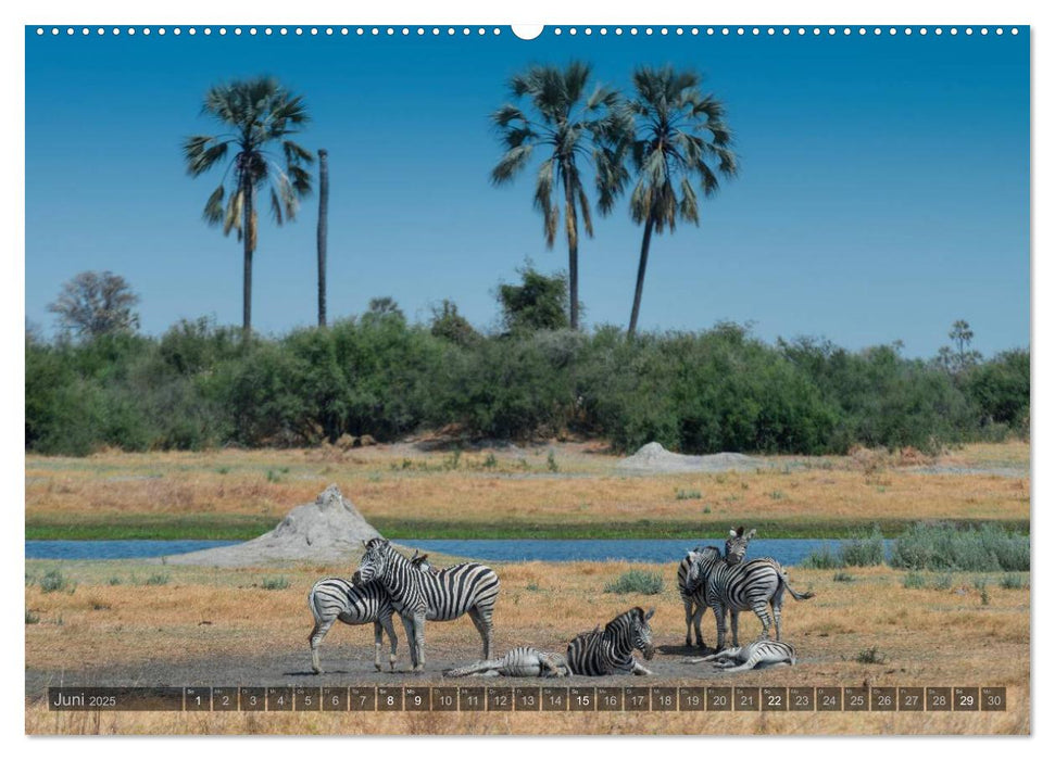 Botswana – Landschaft und Tierwelt (CALVENDO Premium Wandkalender 2025)