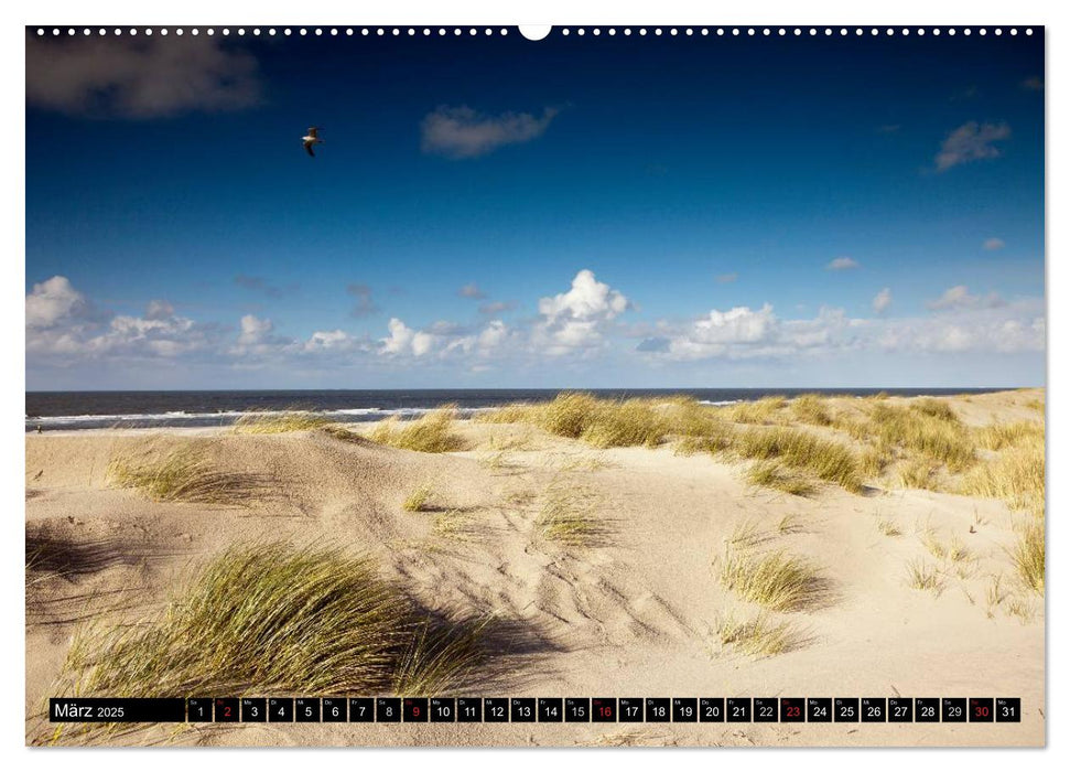 Insel Spiekeroog (CALVENDO Premium Wandkalender 2025)