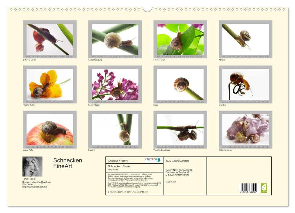 Schnecken FineArt (CALVENDO Wandkalender 2025)