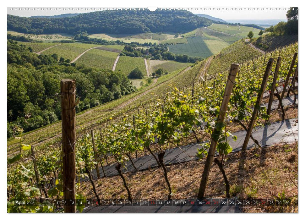 Weinlagen in Franken (CALVENDO Premium Wandkalender 2025)