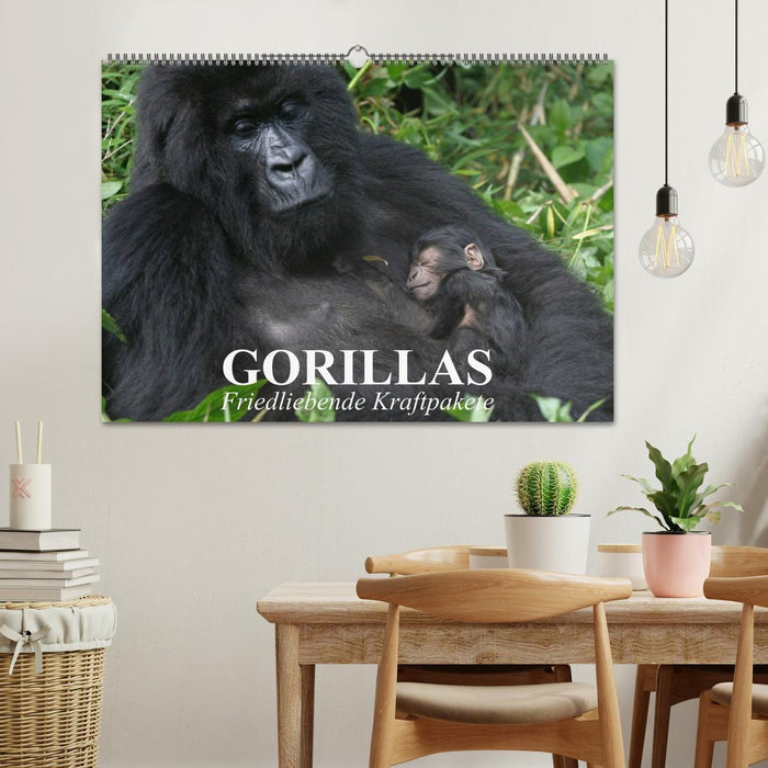 Gorillas. Friedliebende Kraftpakete (CALVENDO Wandkalender 2025)