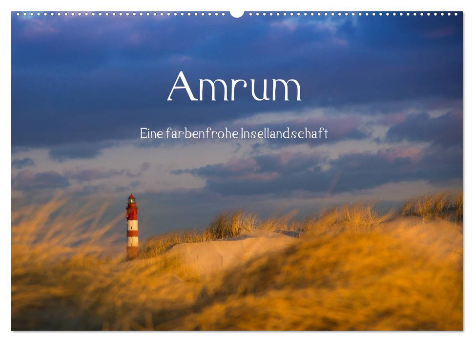 Amrum - Eine farbenfrohe Insellandschaft (CALVENDO Wandkalender 2025)