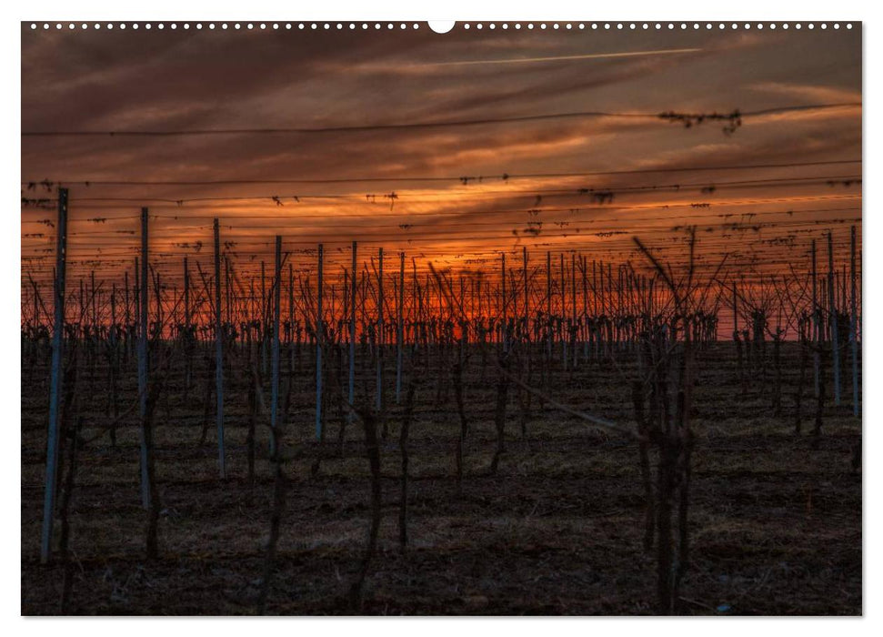 Weinland Franken (CALVENDO Premium Wandkalender 2025)