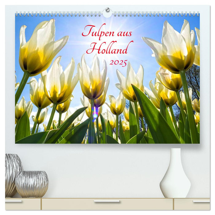 Tulpen aus Holland (CALVENDO Premium Wandkalender 2025)