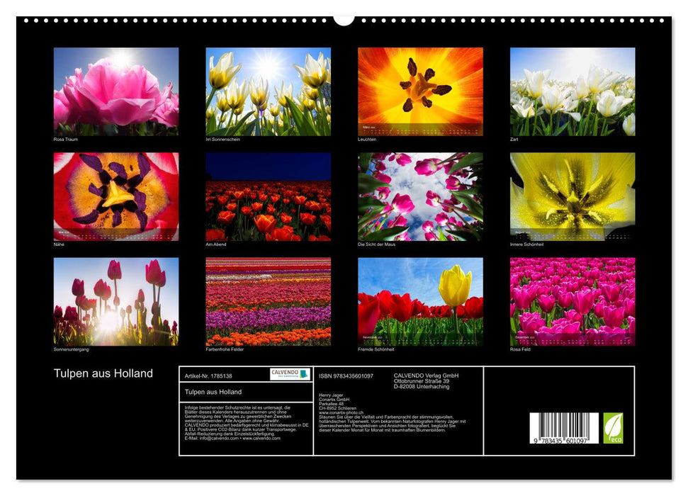 Tulpen aus Holland (CALVENDO Premium Wandkalender 2025)