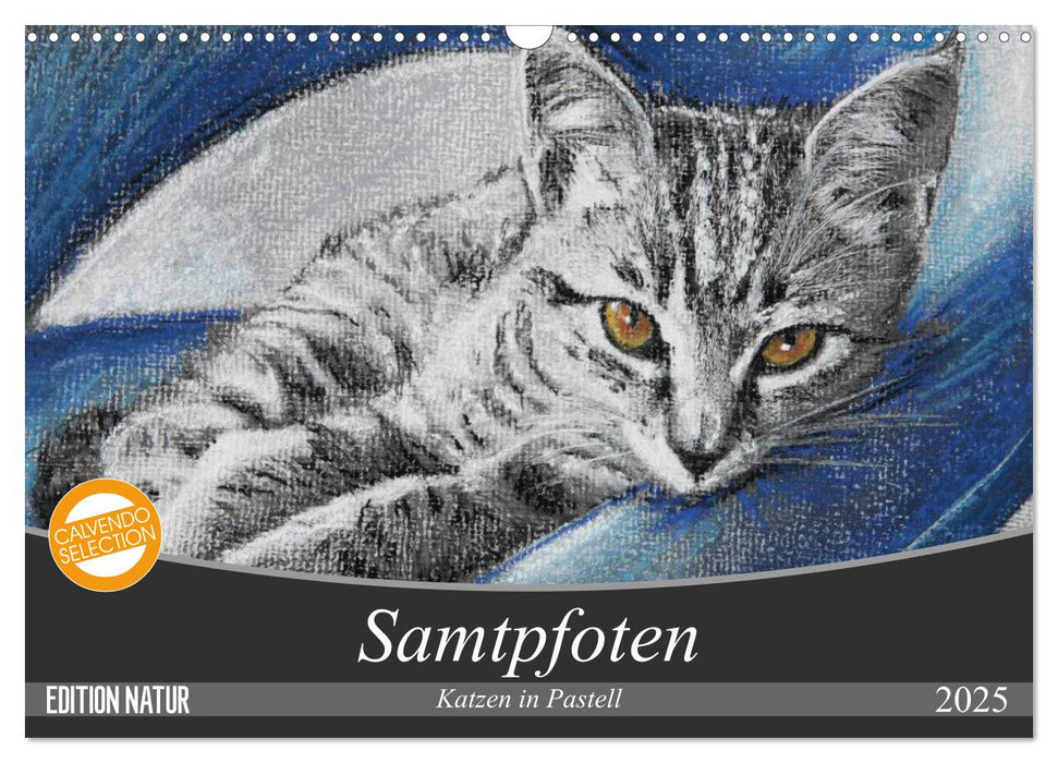 Samtpfoten - Katzen in Pastell (CALVENDO Wandkalender 2025)