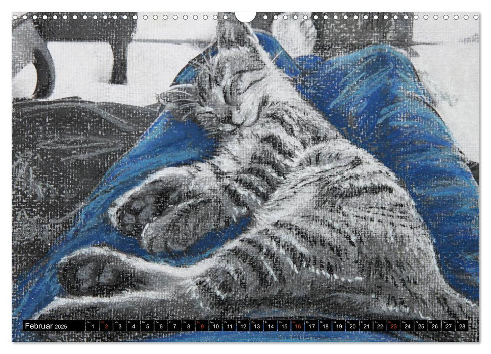 Samtpfoten - Katzen in Pastell (CALVENDO Wandkalender 2025)