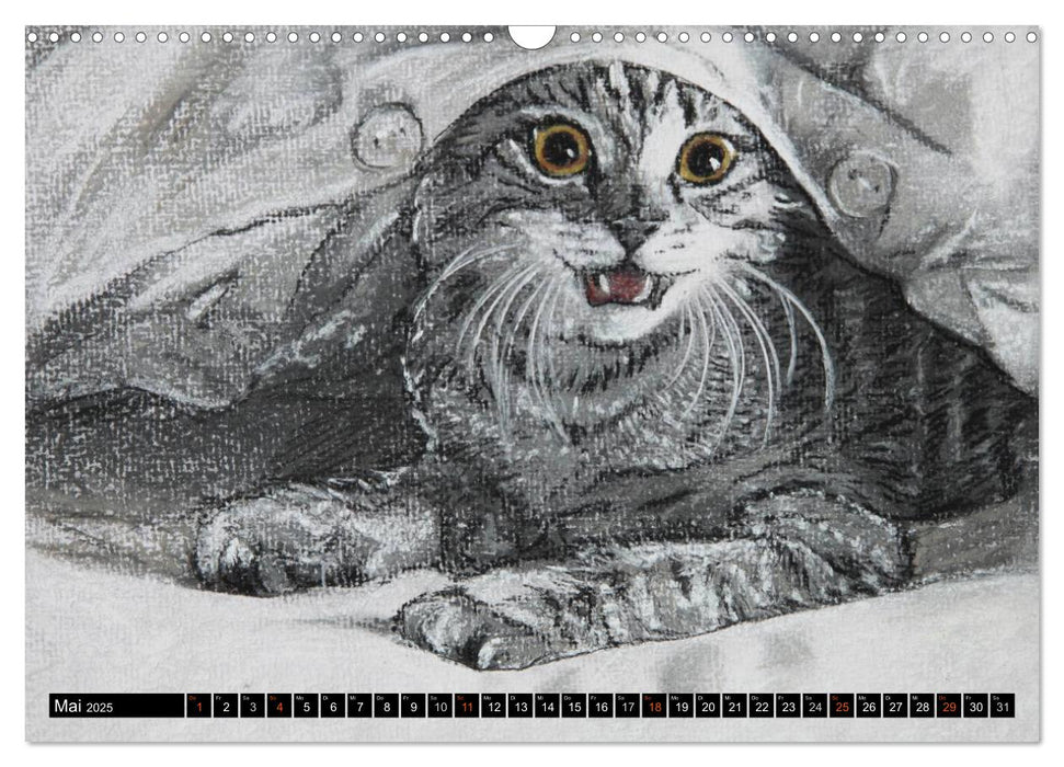 Samtpfoten - Katzen in Pastell (CALVENDO Wandkalender 2025)