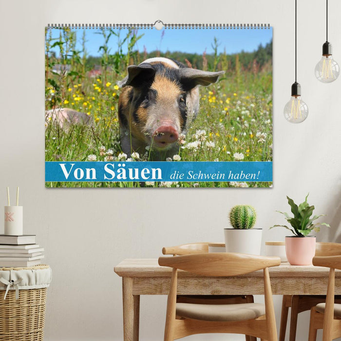 Von Säuen die Schwein haben! (CALVENDO Wandkalender 2025)