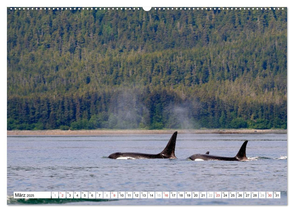 Alaska - Lockruf der Wildnis (CALVENDO Premium Wandkalender 2025)