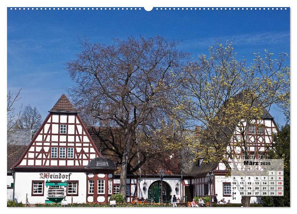 Malerisches Koblenz (CALVENDO Premium Wandkalender 2025)