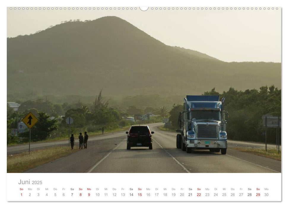 Monster Trucks in Jamaika (CALVENDO Wandkalender 2025)