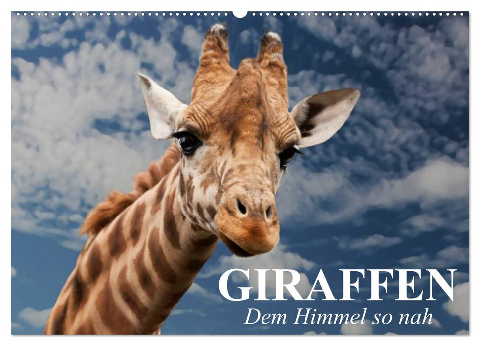 Giraffen. Dem Himmel so nah (CALVENDO Wandkalender 2025)