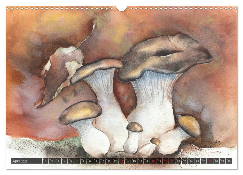 Pilze in Aquarell (CALVENDO Wandkalender 2025)