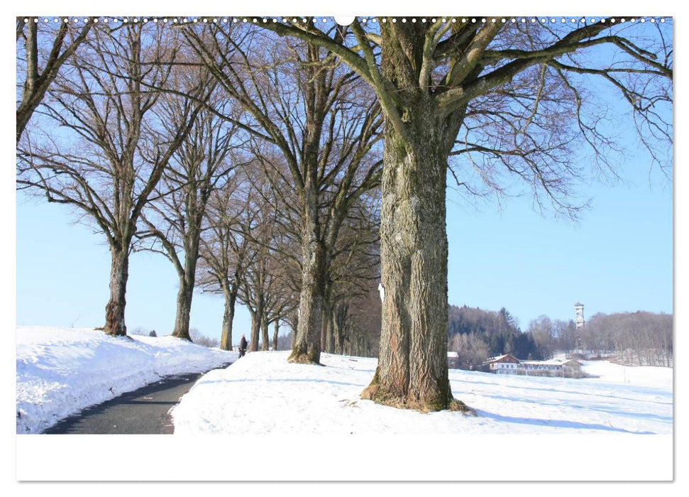 Der Ebersberger Forst und seine Umgebung (CALVENDO Wandkalender 2025)