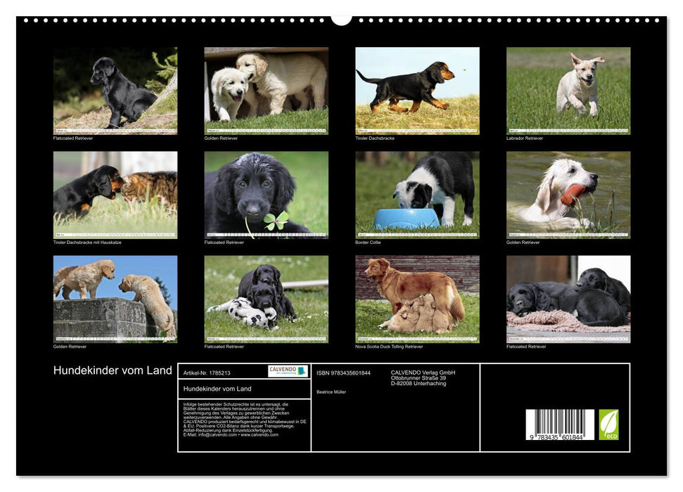 Hundekinder vom Land (CALVENDO Premium Wandkalender 2025)