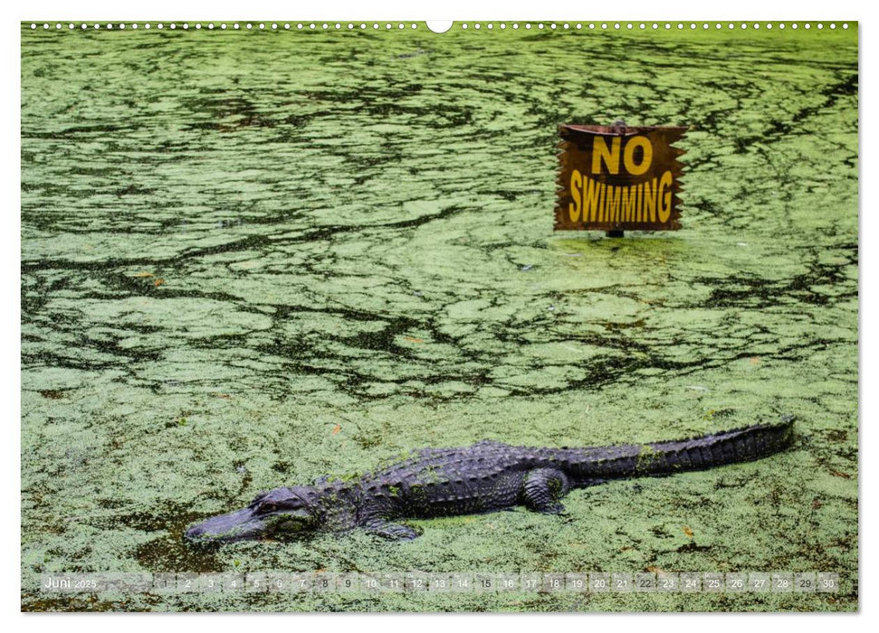 Florida. Sonne und Meer (CALVENDO Wandkalender 2025)