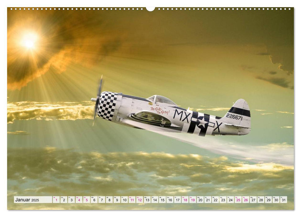 Modellflugzeuge in ACTION (CALVENDO Premium Wandkalender 2025)