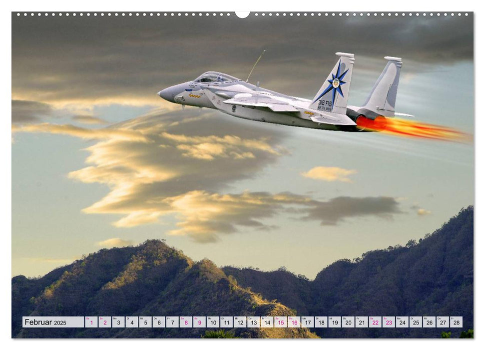 Modellflugzeuge in ACTION (CALVENDO Premium Wandkalender 2025)