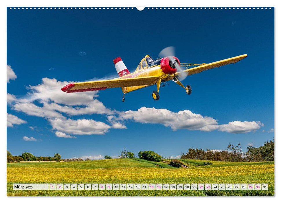 Modellflugzeuge in ACTION (CALVENDO Premium Wandkalender 2025)