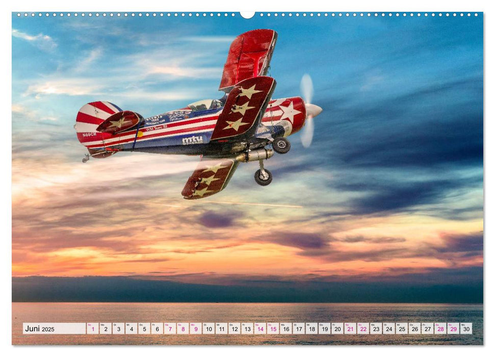 Modellflugzeuge in ACTION (CALVENDO Premium Wandkalender 2025)