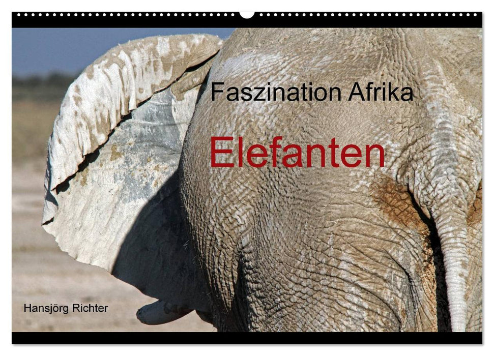 Faszination Afrika - Elefanten (CALVENDO Wandkalender 2025)