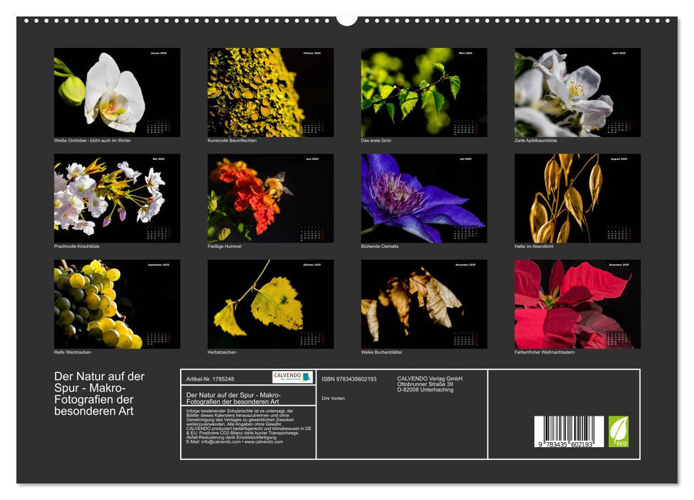 Der Natur auf der Spur - Makro-Fotografien der besonderen Art (CALVENDO Premium Wandkalender 2025)