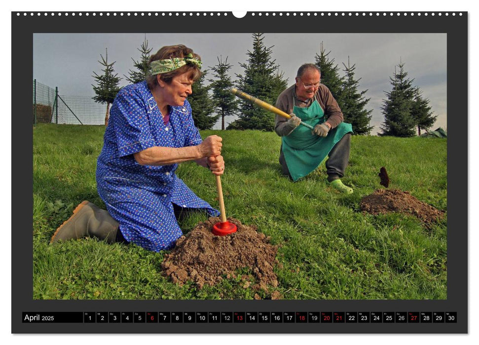 GSCHEIT BLED - Humorfotografie (CALVENDO Premium Wandkalender 2025)