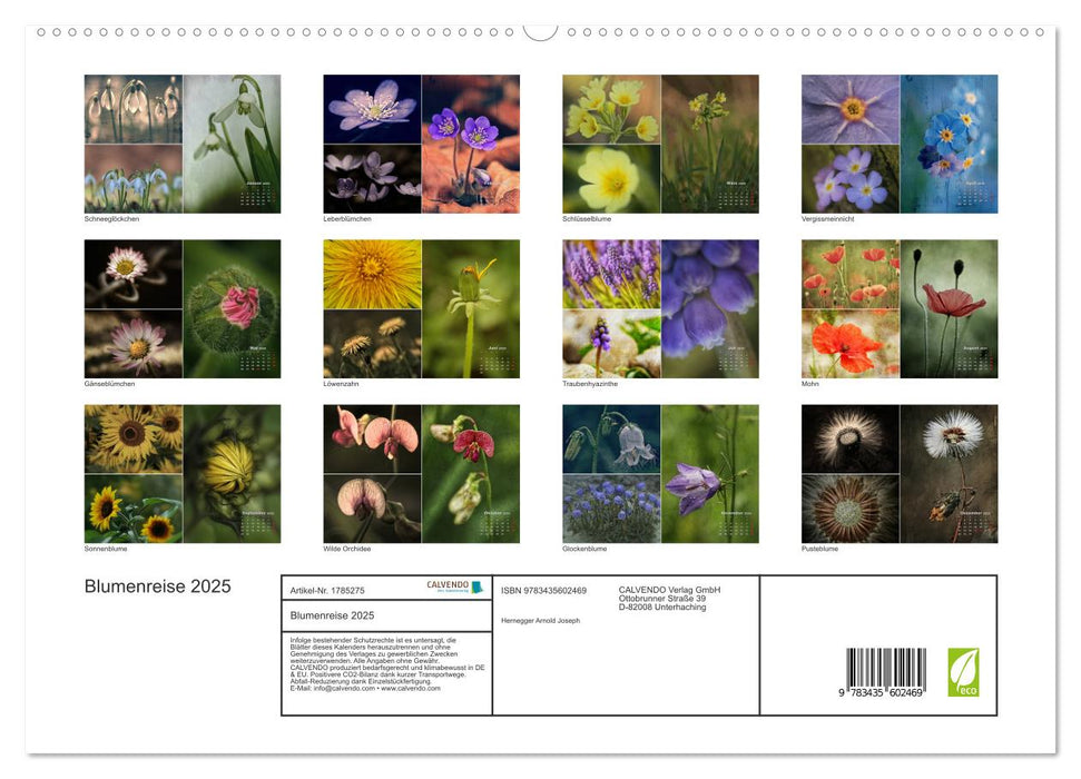 Blumenreise 2025 (CALVENDO Premium Wandkalender 2025)